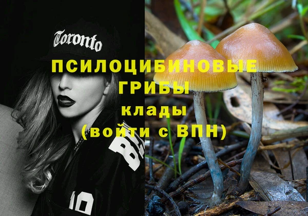 спайс Арсеньев