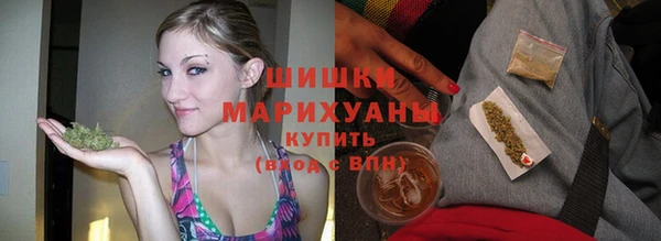 спайс Арсеньев