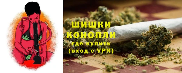 спайс Арсеньев