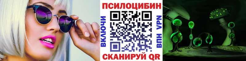 Галлюциногенные грибы Psilocybe  наркошоп  Тюкалинск 